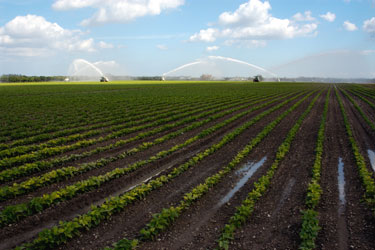 Agriculture Irrigation