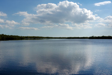 Florida Bay