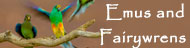 Of Emus and Fairywrens